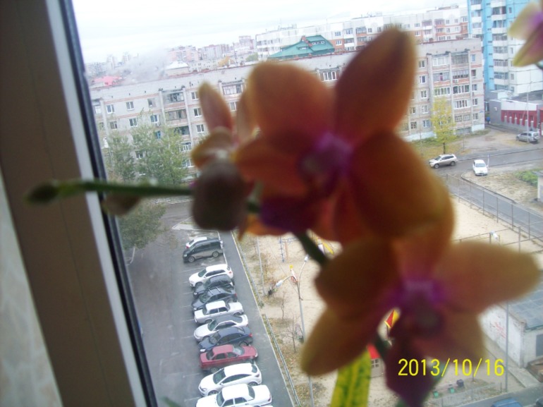 f89ce0e5d7057931eb2bb1c614722ada.jpg