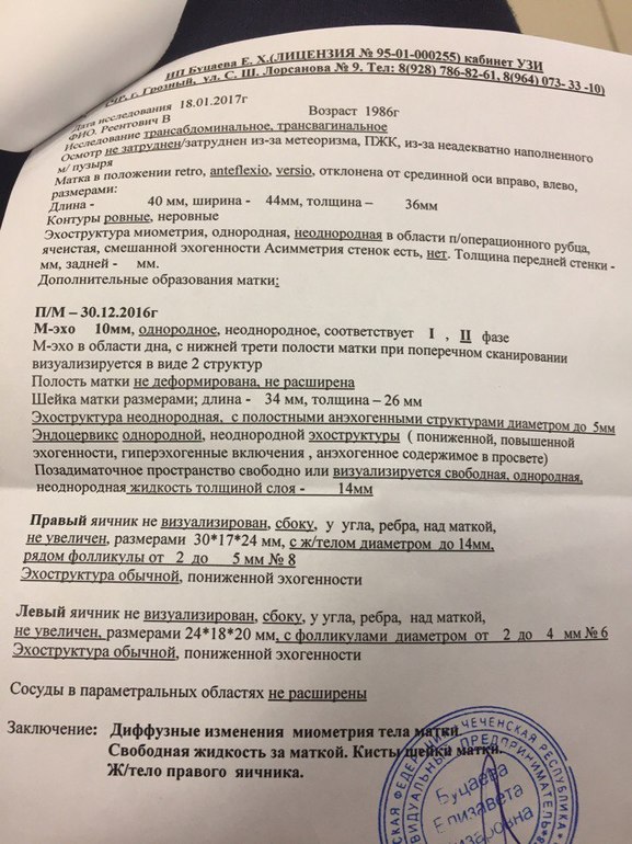 Миометрий шейки матки. Эндометриоз УЗИ протокол. Структурные изменения миометрия матки. Протокол диффузные изменения матки на УЗИ. Изменения в миометрии при беременности.