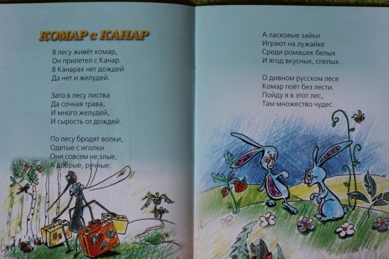 Книга, которой нет в магазинах...