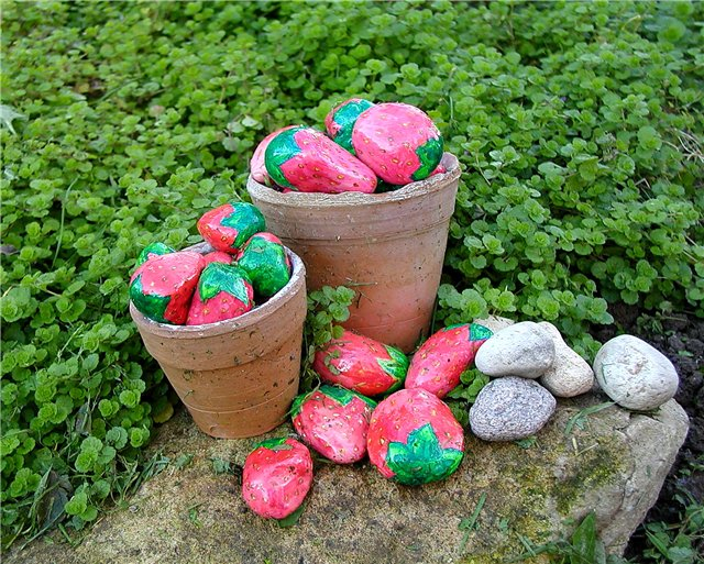 Морские камушки