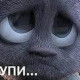 София