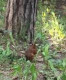 Наталья