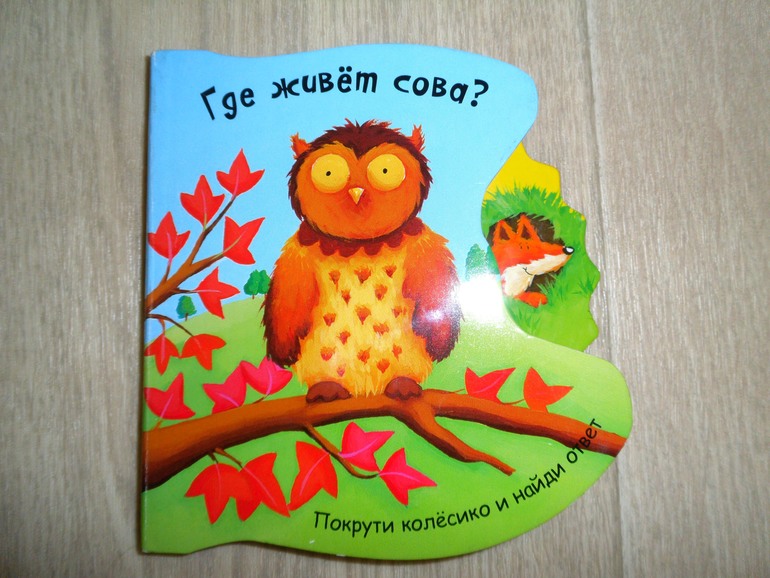 Наши книжные новинки: