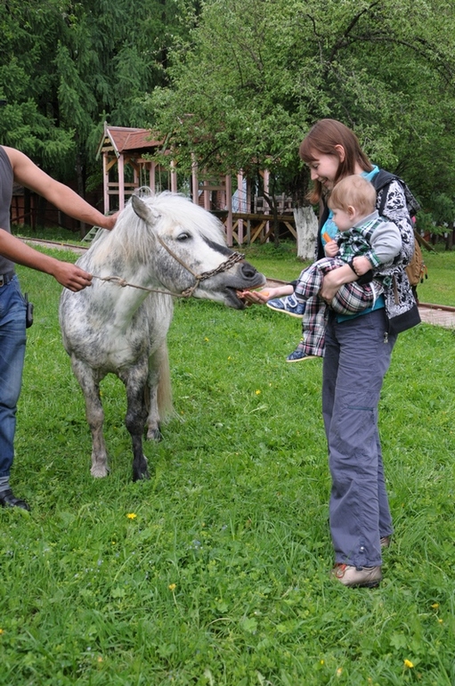 3 подмосковных отеля. Часть первая: Фореста парк