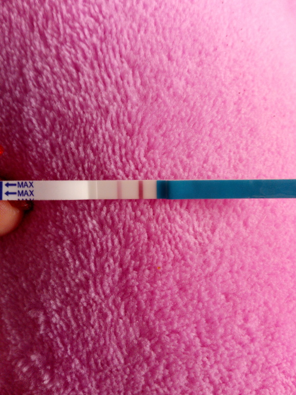 Есть ли выделение если забеременела. Ранние признаки беременности. Вероятность беременности. Признаки беременности отличие от пмс. Беременность на ранних сроках.