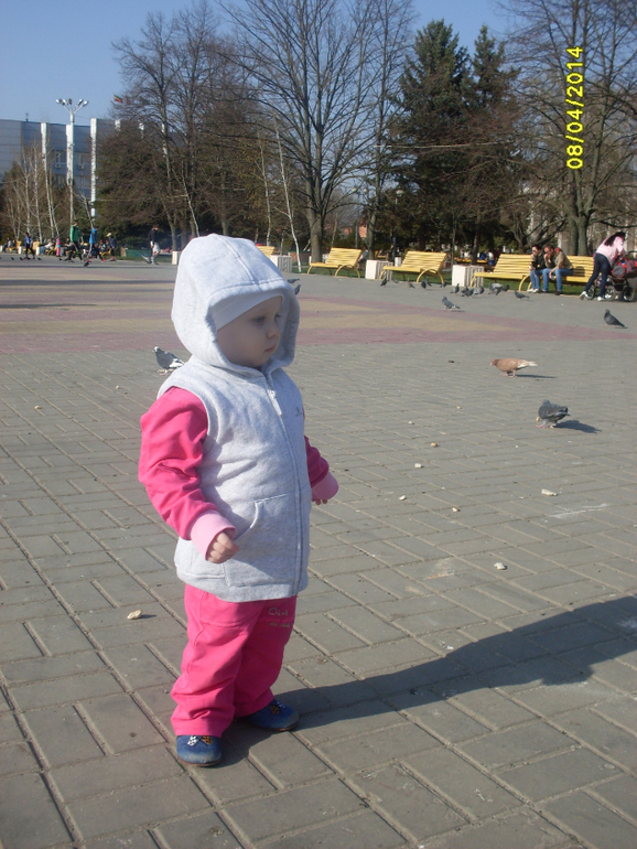 1ceae955c5013ae0b048621f93185bdc.jpg