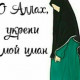 anvarovnagulnaz600
