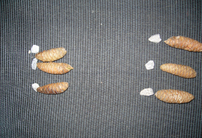 d1dc5d6c4820eb5f8b464c93ea0ec76b.png