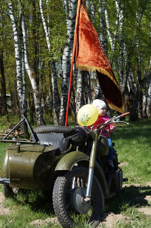 ТЗ День Победы