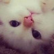 Екатерина Саяпина