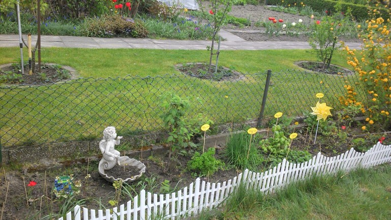 моя будущая клумба и аптекарский огородик