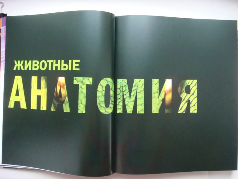 Животные. Большая иллюстрированная энциклопедия