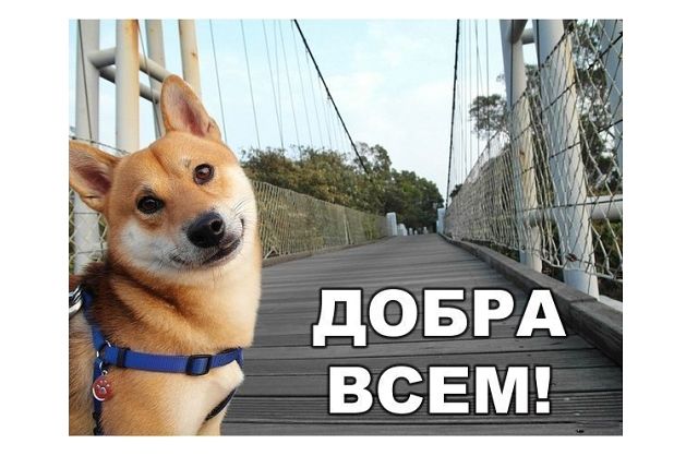 570f00dd5e7c3d3246fdcb0ac68e49e5.jpg