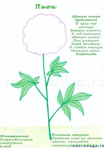 Летний альбом. Часть 1. Цветы. Творчество.