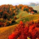 Виктория Горбушина