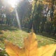 Татьяна Верховцева