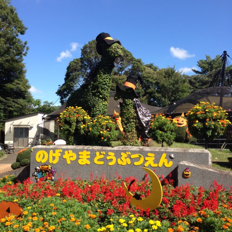 76f52ba2f0247bbe374902b7c1eca581.jpg