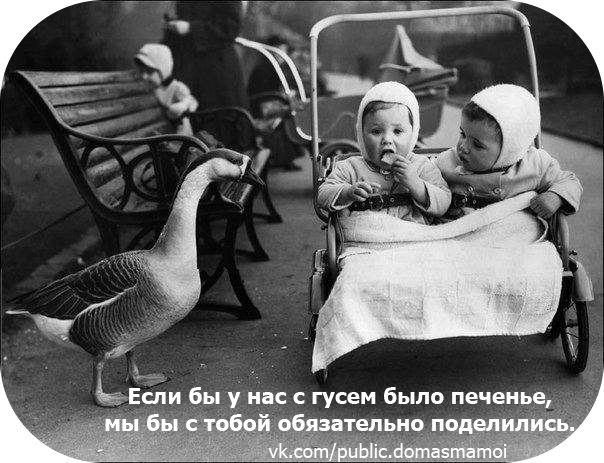 вы еще мучаетесь выбором коляски?))))))))))))