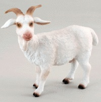 01f1f26fd580f5fe44163771d47f04bb.jpg