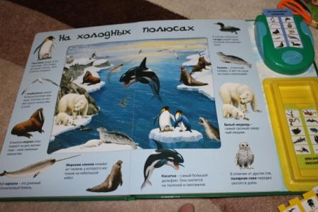 Флешмоб ТН Арктика и Антарктика