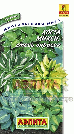 Хоста Микси, смесь окрасок