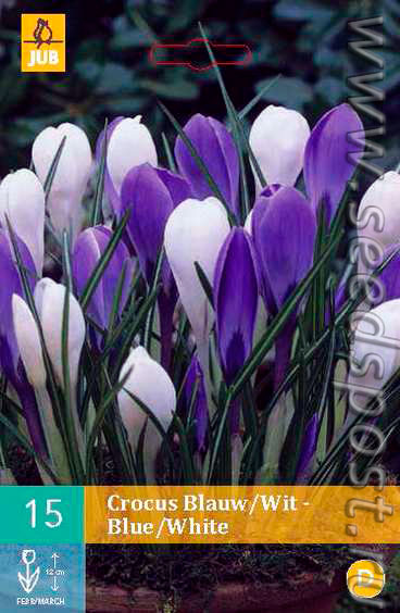 BLAUW-WIT/ BLUE-WHITE MIX