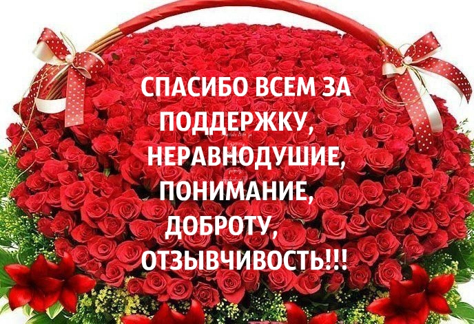 https://cdn5.imgbb.ru/sp/user/54/543246/201604/97b1376acd47b68e5c3bd4cbb499d128.jpg