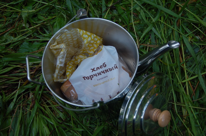 Одноночный многодетный поход