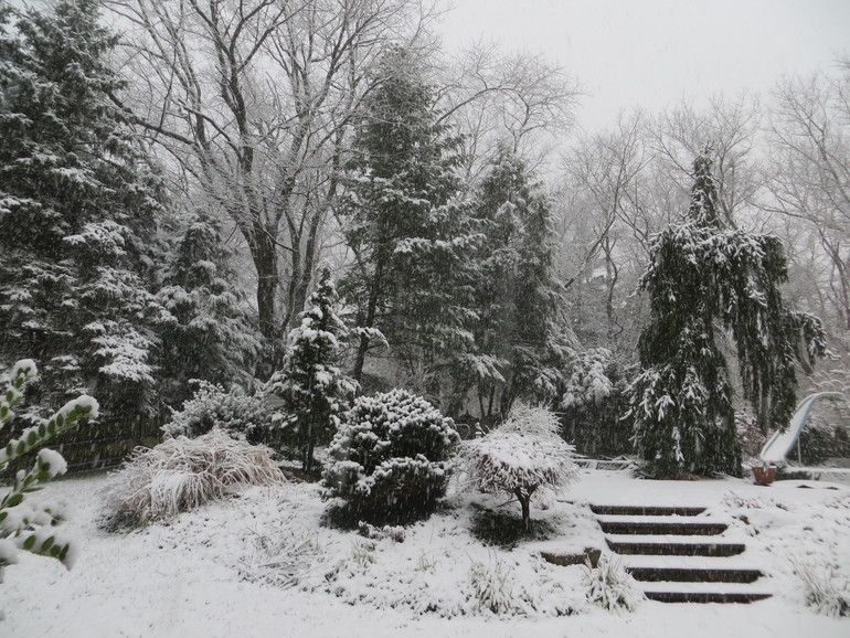 Снежный день