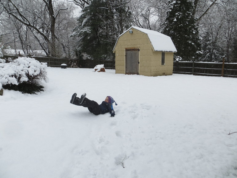 Снежный день