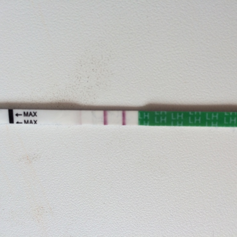 Тесты на овуляцию и БТ