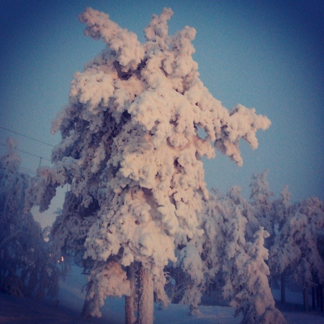 Наш январь. Часть 2 моя)))