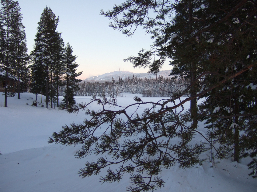 Наш январь. Часть 3