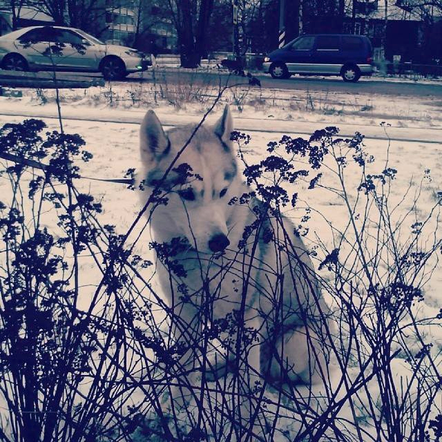 Наш январь. Часть 3