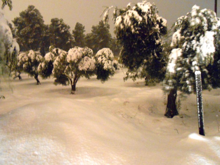 но мы не сдаемся