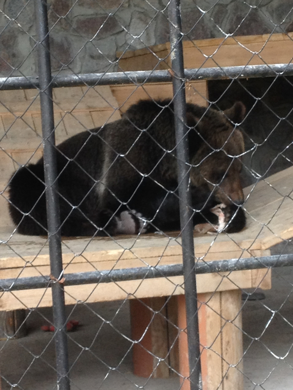 Выходные в семь озер