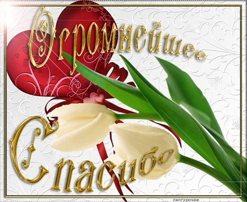 Мой хомяк рад до уше!