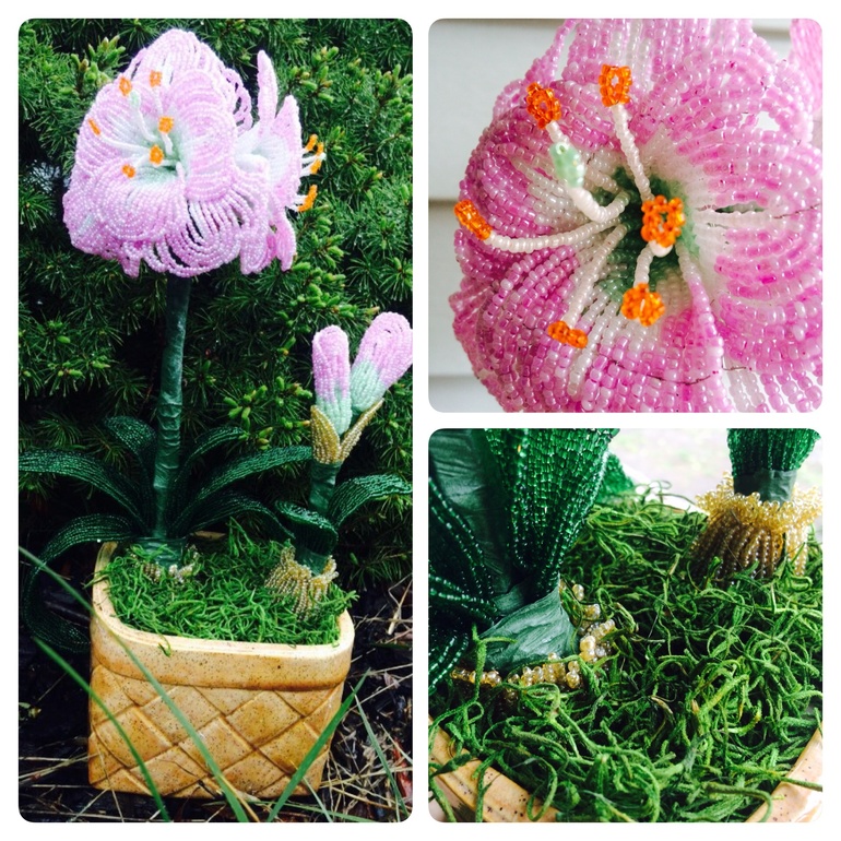 В отвратительную погоду у меня распускаются цветы:)