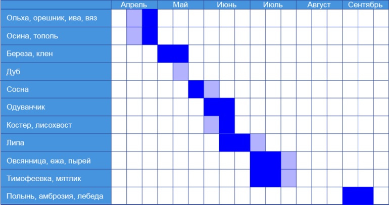 Схема цветения для аллергиков