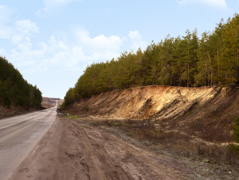 Дворец Голицыных в с. Зубрилово в Пензенской обл.