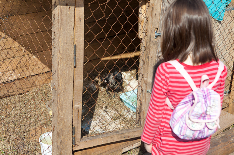 Пасха Христова в Нило-Столобенской Пустыни 2014 год