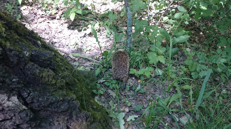 Мои самые любимые посты - про ЛЕТО!