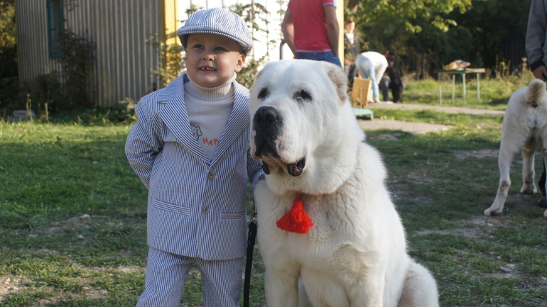 Ратмир юный хэндлер)