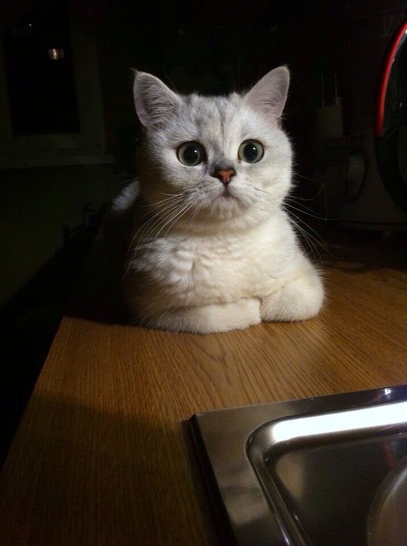 Моя красоточка