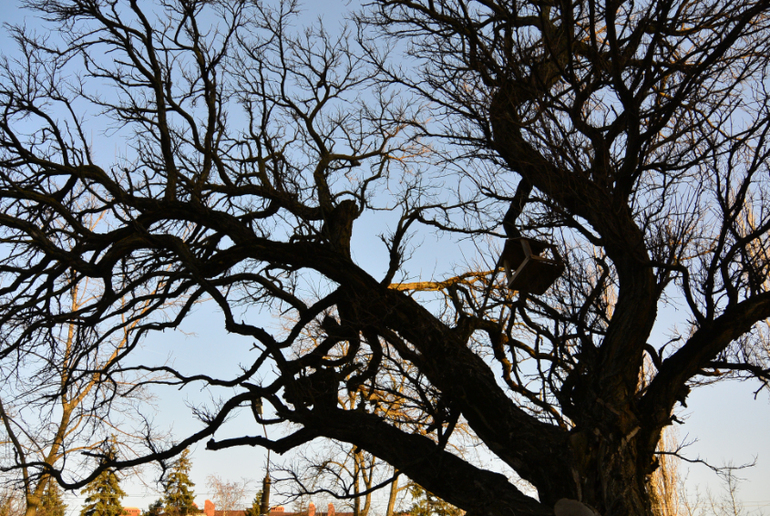 Беззеркалка Nikon 1 S1