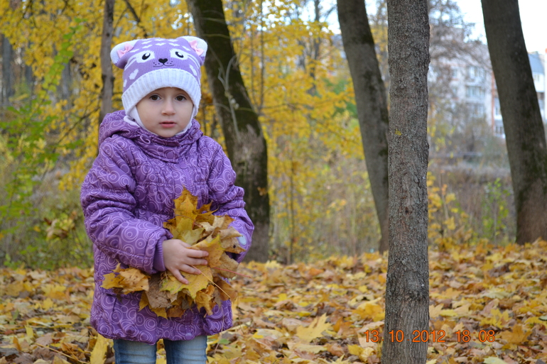 Всем привет