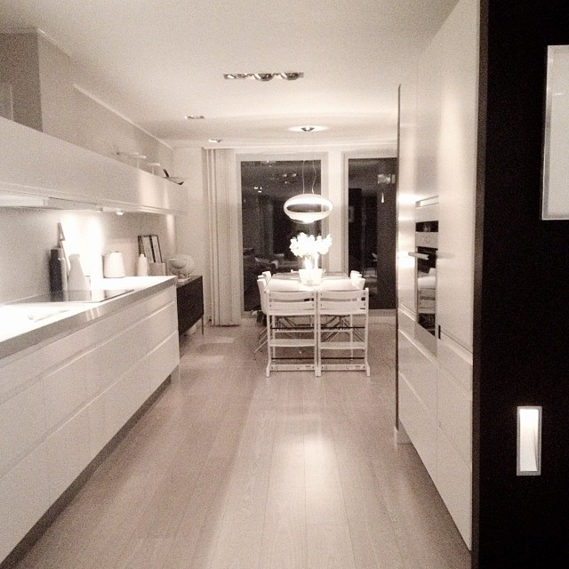 Сканди (@fangblikk)