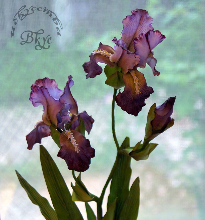 Сахарные ирисы)))