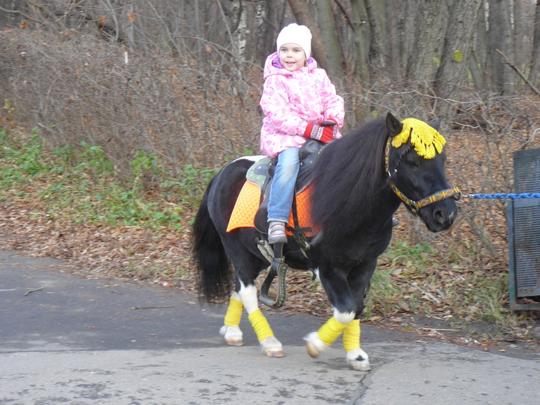 Гуляем