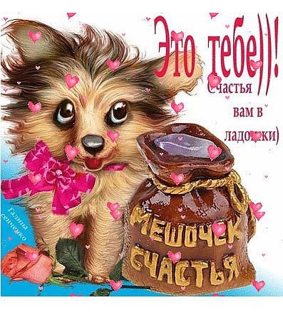 Добро пожаловать!